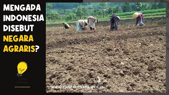 Mengapa Indonesia Disebut Negara Agraris Kumpulan Artikel Pengetahuan Umum