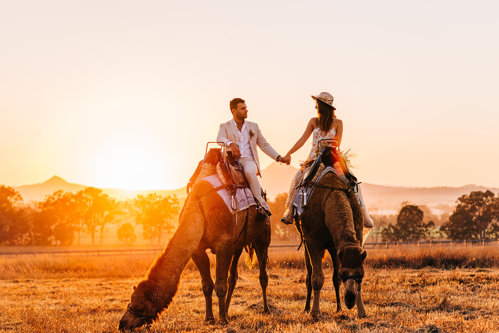 to the aisle australia | champagne at sunrise summer land camels shoot match made photography gold coast weddings country boho floral design cake stationery venue