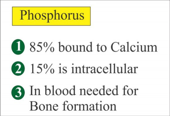 Phosphate in Blood