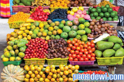 18+ Tips jualan buah agar tidak cepat busuk ideas