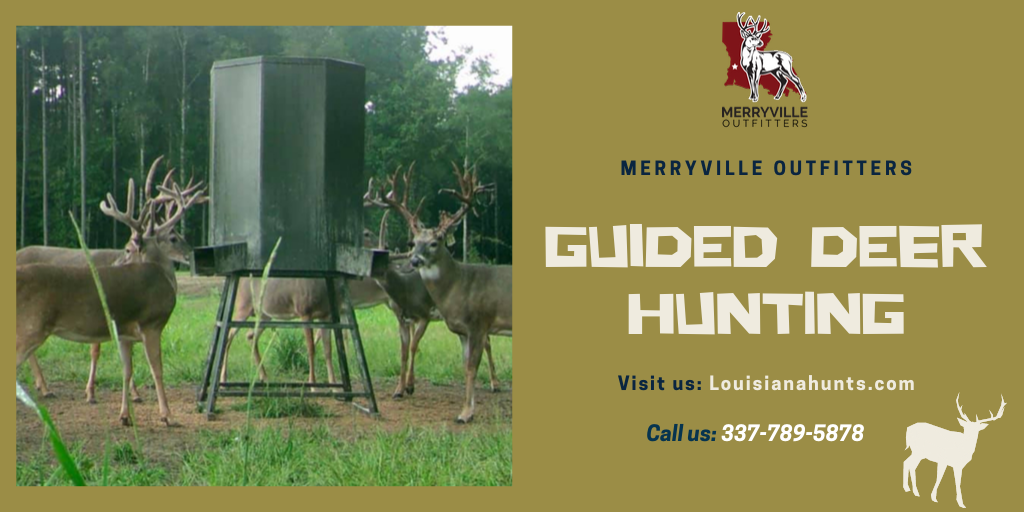 Guided Trophy Whitetail Deer Hunting
