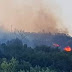 Πυρκαγιά στην  περιοχή Ροϊδοβούνι Κόνιτσας