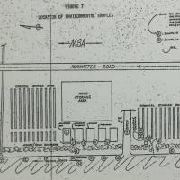 prince harry is dating a black girl