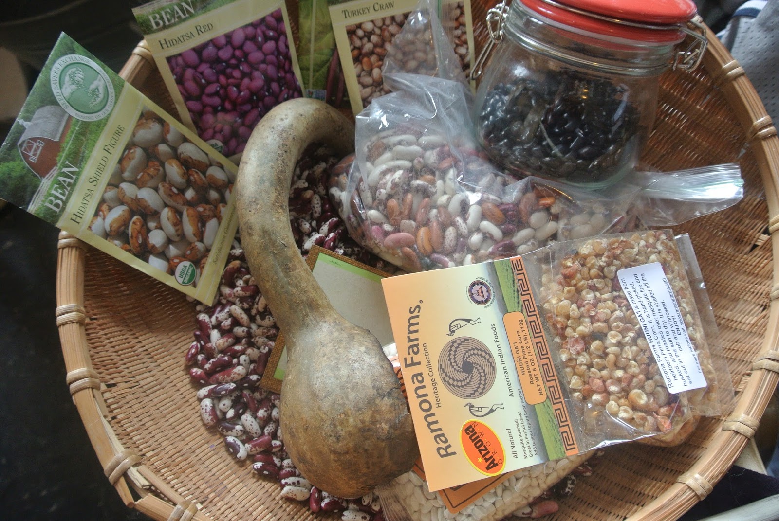 How Were Beans Domesticated?