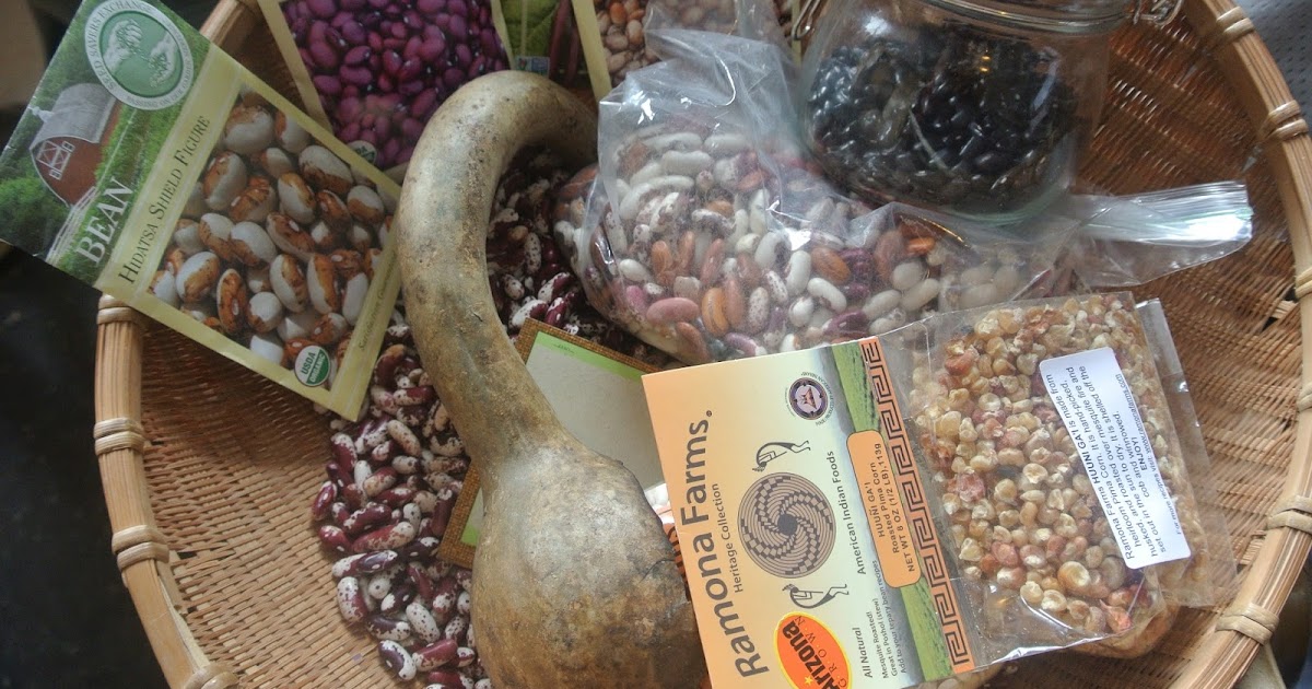 How Were Beans Domesticated?