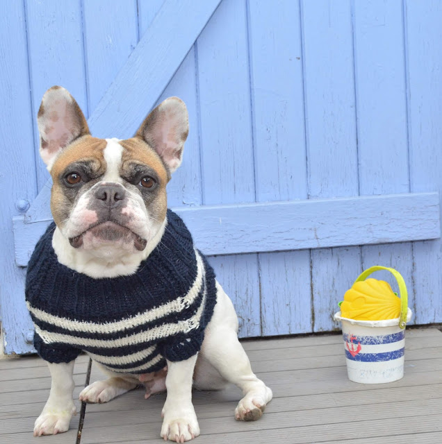 Marinière Bouledogue francais C'est l'heure de la Promenade -  Oh My Boubous