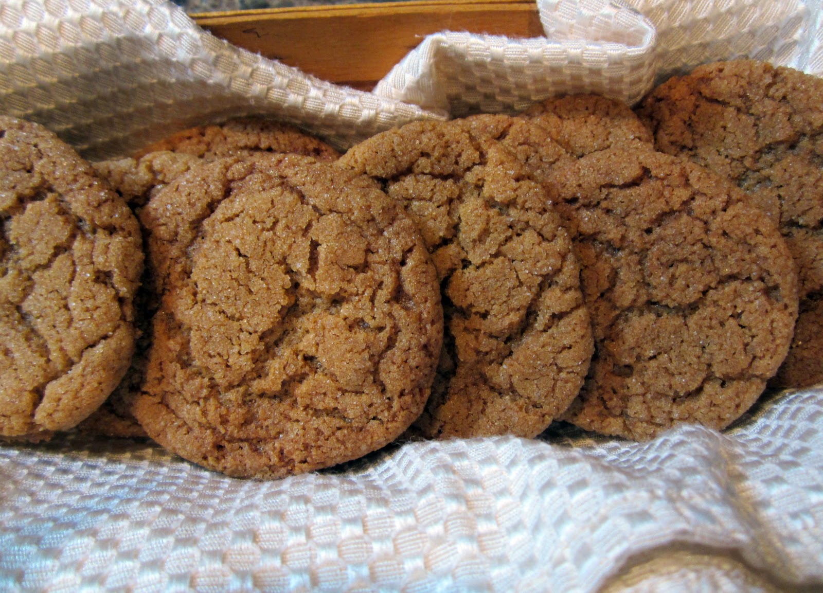 Sweet Magnolia Way Cookie Jar Gingersnaps