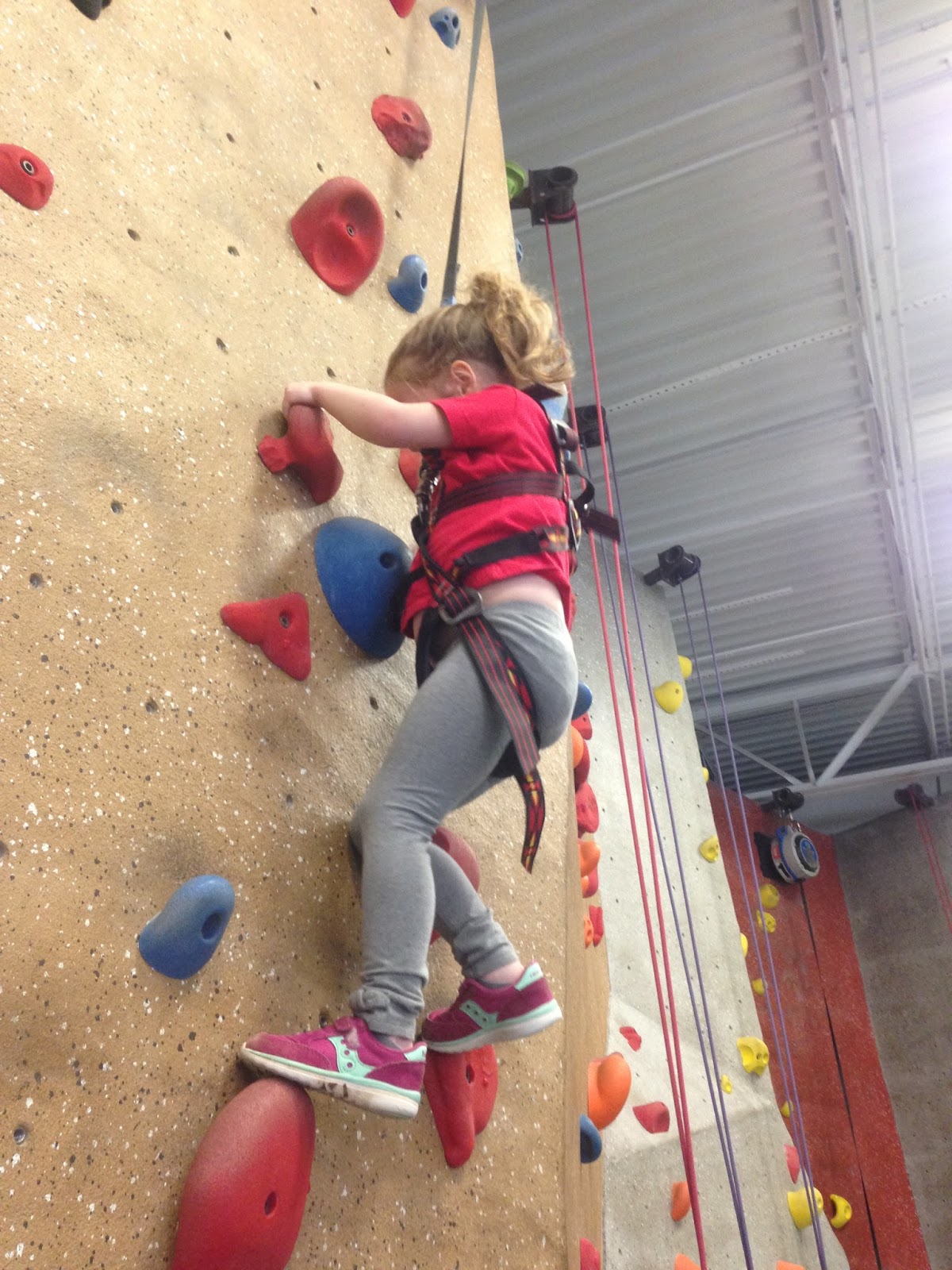 Tale of Five Forks New Activity