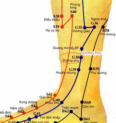 vị trí huyệt dương phụ