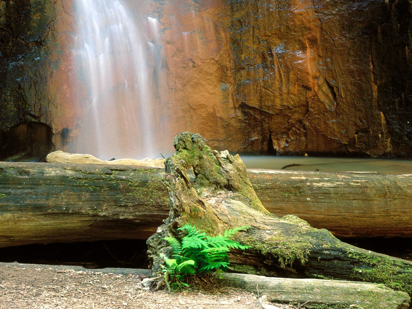 Labels Beautiful Desktop Nature Wallpapers Labels Beautiful Desktop Nature Wallpapers