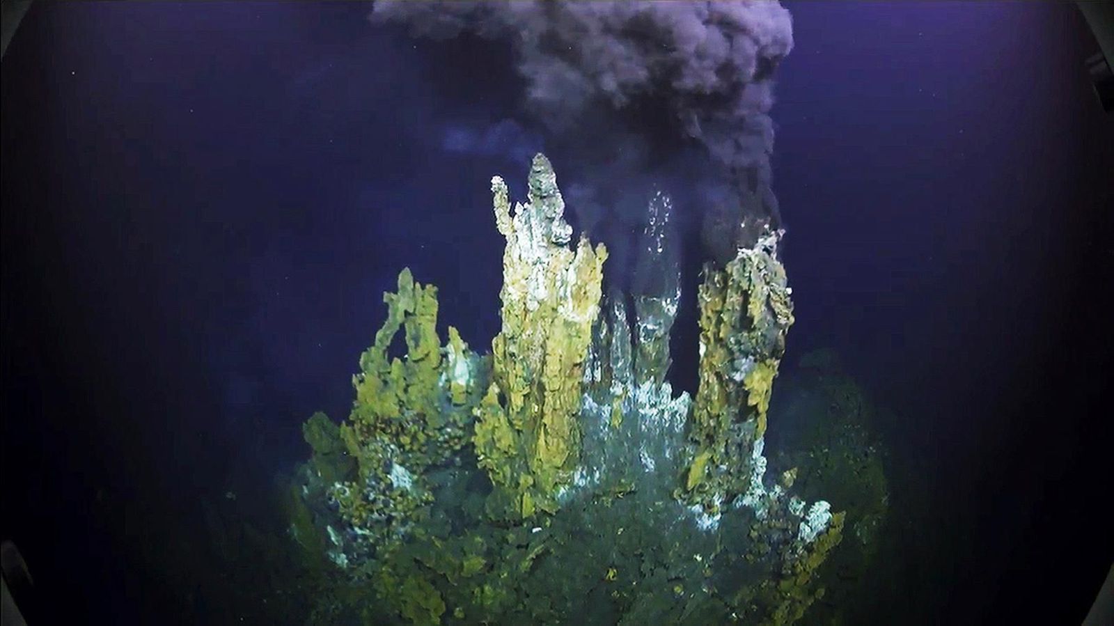 Can Hydrothermal Vents Help us Learn About the Evolution Of Life On Earth?