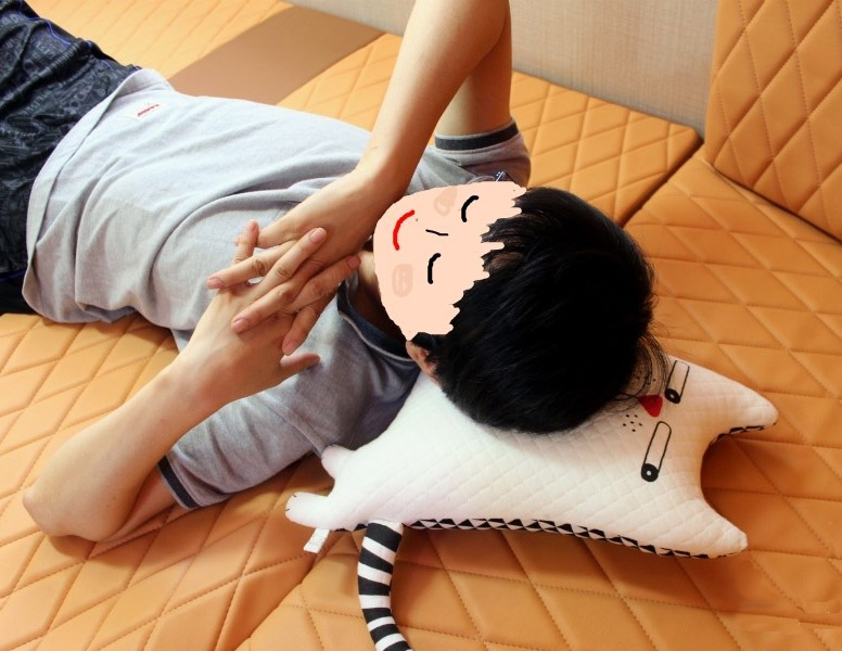 Cat Pillow Cushion. Toy Doll Home Sofa Decoration.  DIY tutorial. Необычная подушка в виде кота, инструкция по шитью