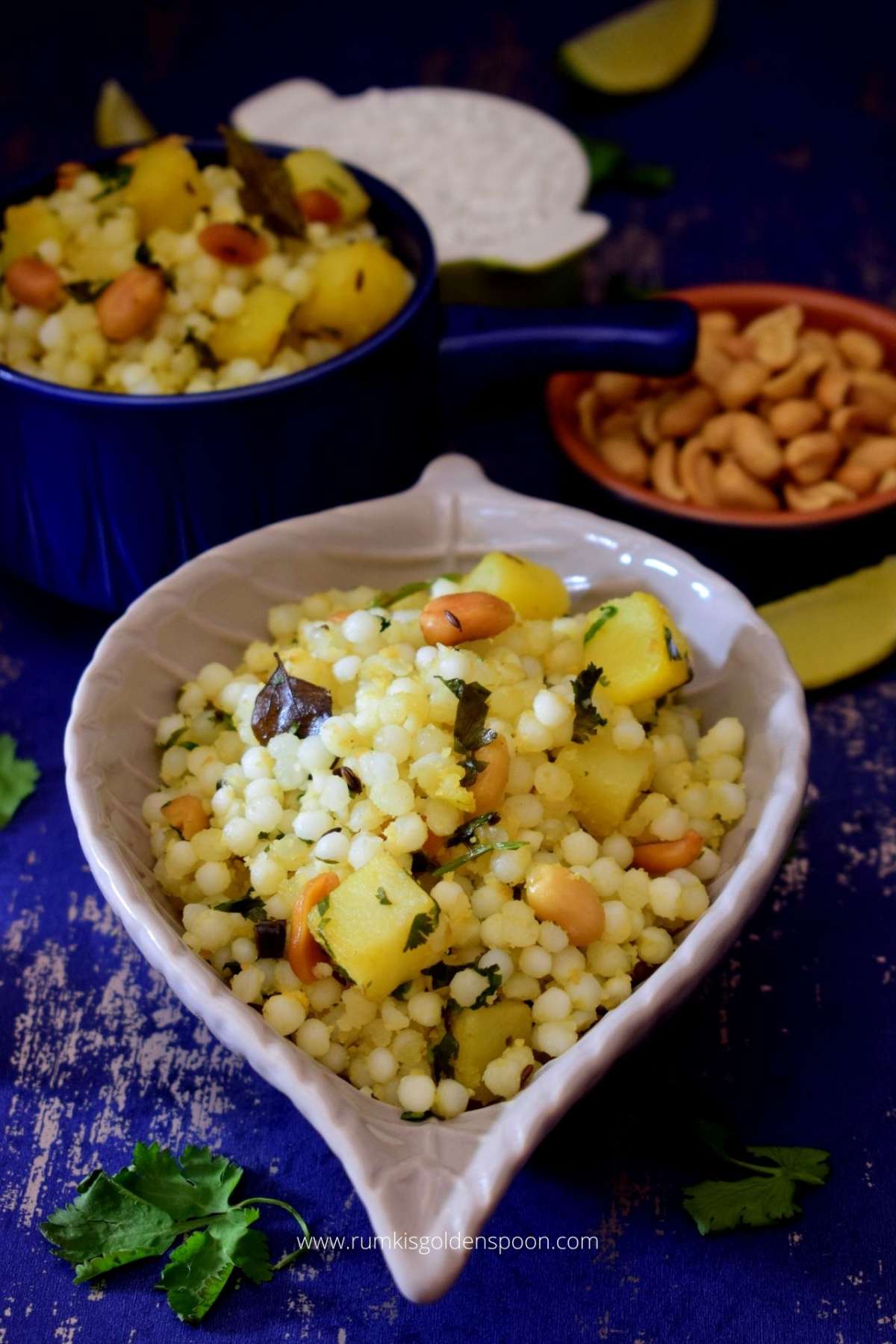 sabudana khichdi, sabudana khichdi recipe, sabudana ki khichdi, sabudane ki khichdi, how to make sabudana khichdi, sabudana ki khichdi kaise banate hain, sabudane ki khichdi kaise banate hain, sabudana ki khichdi ki recipe, sabudana khichdi banane ki vidhi, sago khichdi, recipe for sabudana khichdi, how to prepare sabudana khichdi, sabudana khichdi for fast, sabudane ki khichdi recipe, sabudana ki khichdi recipe, how to cook sabudana khichdi, sabudana khichdi maharashtrian style, sabakki khichdi, sabudana recipe, sabudana recipe for breakfast, vegetarian breakfast recipes easy, recipes for vegetarian breakfast, vegetarian breakfast recipes Indian, vrat ka khana, navratri recipes, recipes of navratri food, navratri vrat recipes, navratri special recipes, Rumki's Golden Spoon