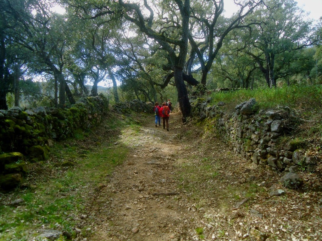 Foto de Sendero Santa Ana - Castaño del Robledo en Castaño del Robledo, Huelva