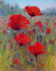 poppies painting field pastel poppy paintings pastels artist watercolor 11x14 painted drawing flower karen margulis dreaming floral oil google chalk