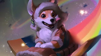 Corgi Wallpapers 4K HD