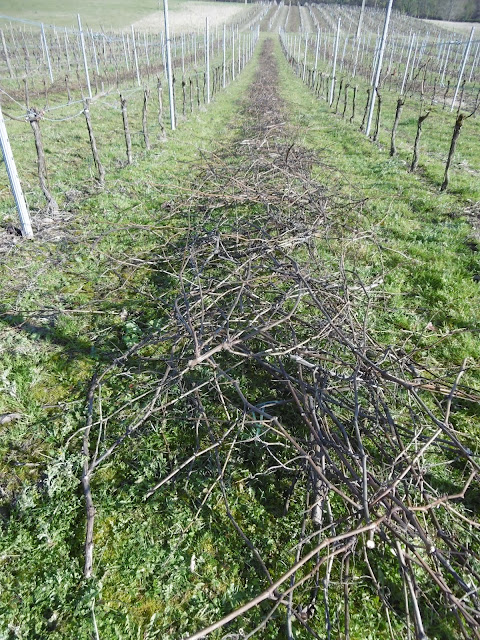 Rang de bois au sol, malooka