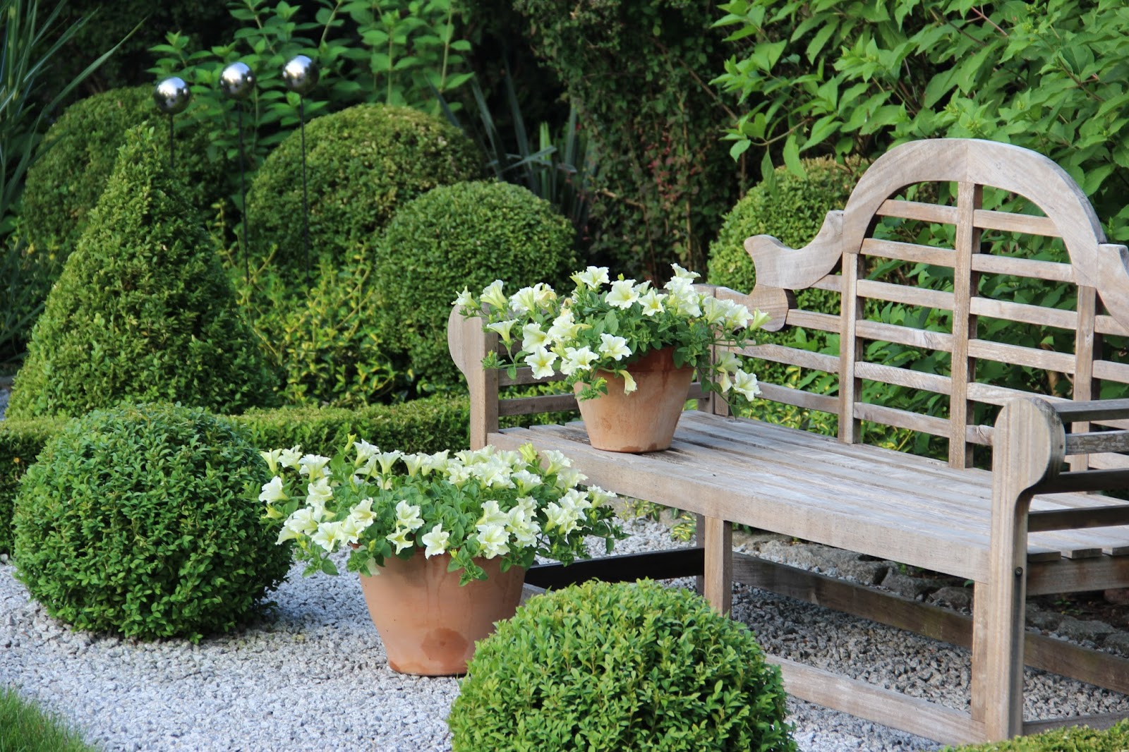 Moja pierwsza hortensja w ogródku, czyli mój "Osobisty Pałac Myśli