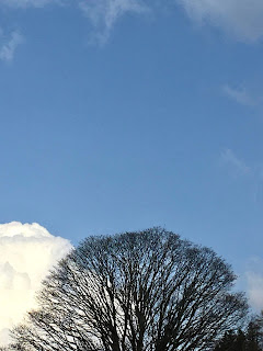 Vieregg Text Redaktion Lektorat Sv Verlag Dieses Wochenende