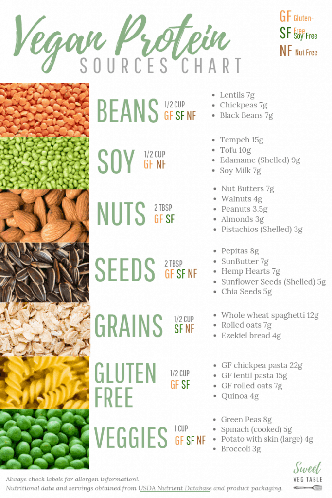 Common Plant-Based Protein Sources
