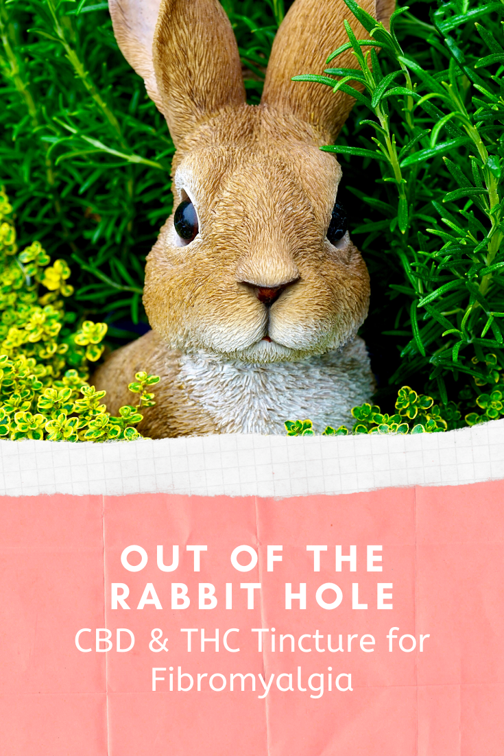 Pain FULLY Living Out of the Rabbit Hole CBD/THC Oil for Fibromyalgia
