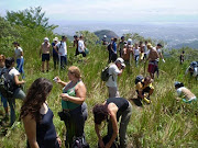 VOLUNTÁRIOS DO PNT