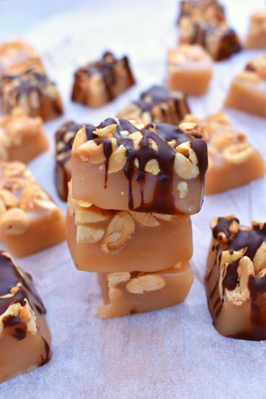 Homemade Chocolate Peanut Caramels + Giveaway The Nutritionist Reviews