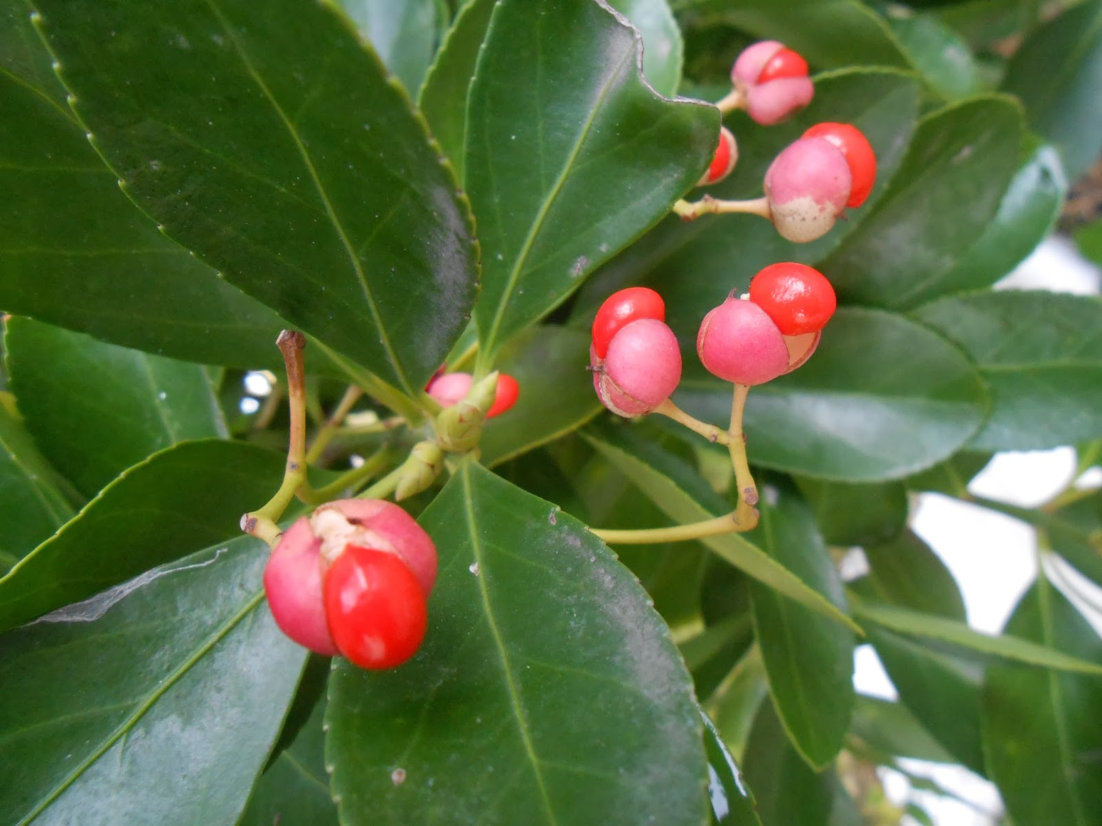 Non c'è vita senza Arte, non