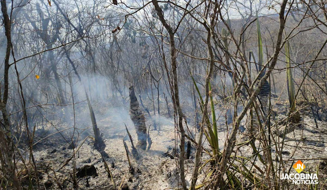 Incêndios aumentam no mês de novembro em Jacobina; Meio Ambiente faz alerta