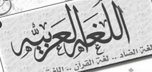 نشرة الكافي في منهاج اللغة العربية للبكالوريا الأدبي 