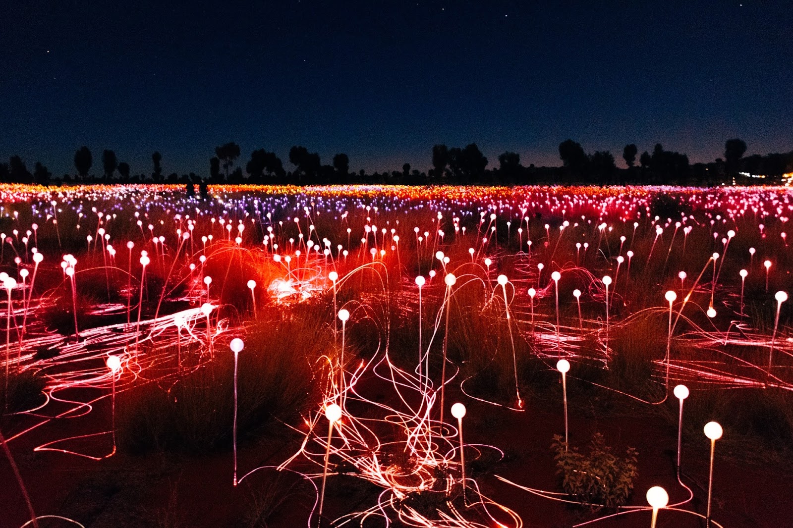 The Astonishing Field of Light A Make Believe World
