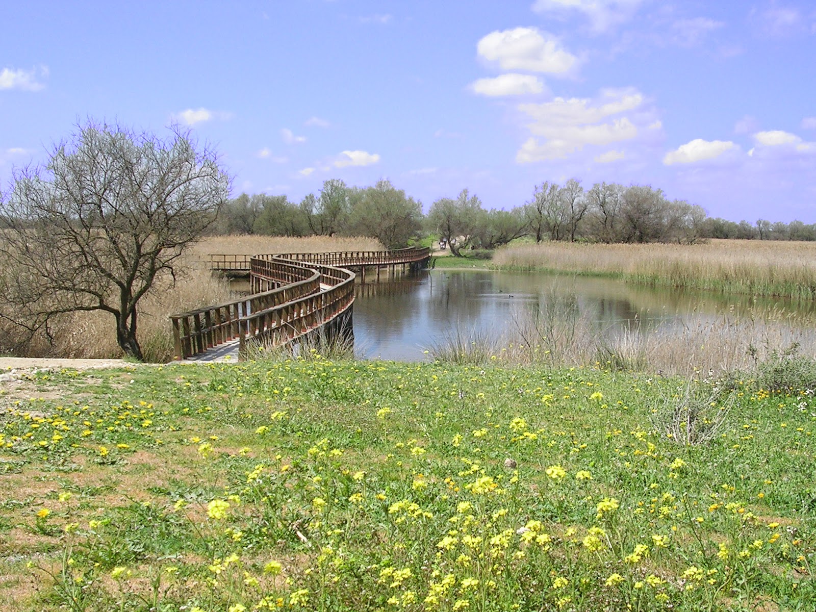 Foto de Tablas de Daimiel en Ciudad Real