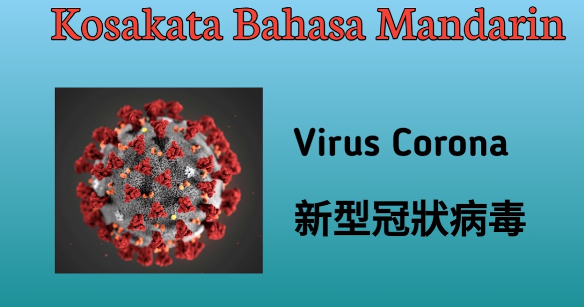 Kosakata Tentang Virus Corona Dan Rumah Sakit Bahasa Mandarin Belajar Mandarin