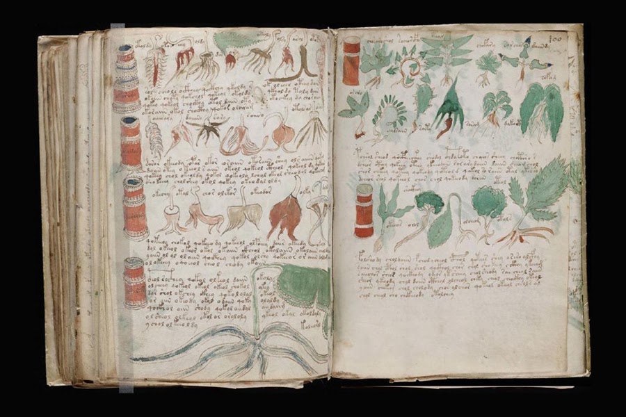 manuscrito-voynich-2021 manuscrito-voynich-2021