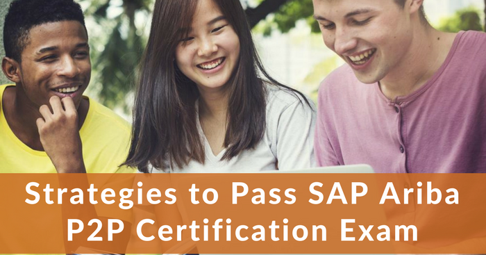 P-SAPEA-2023 Exam Fragen