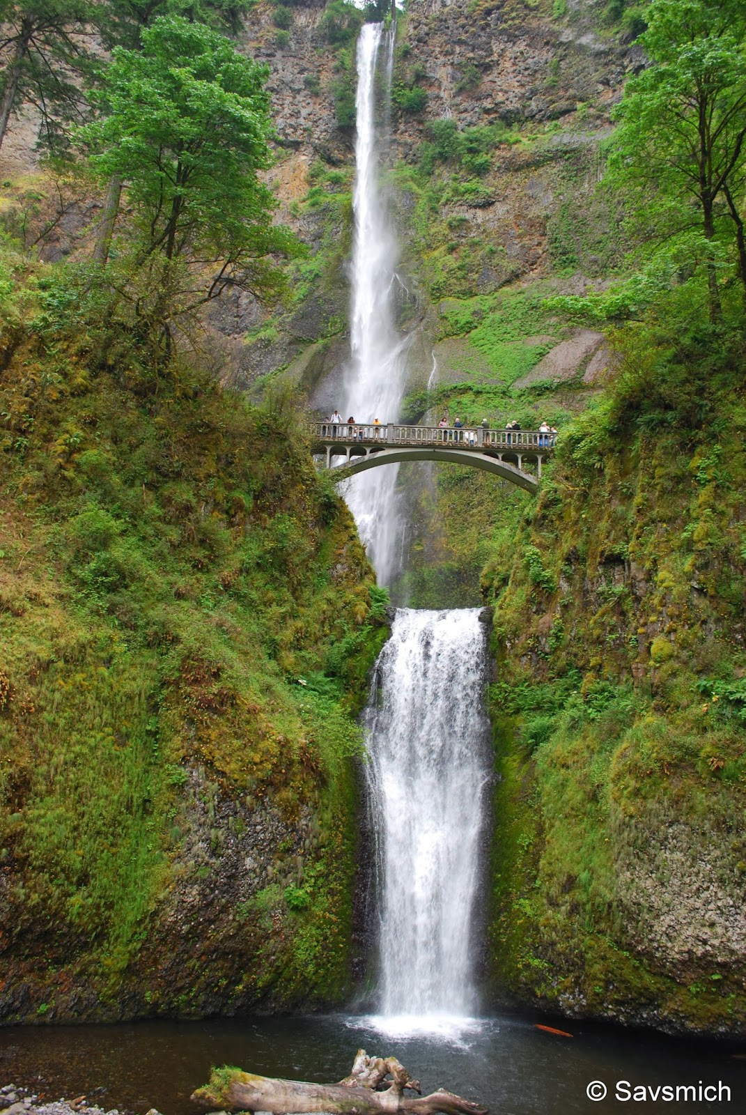 multnomah falls