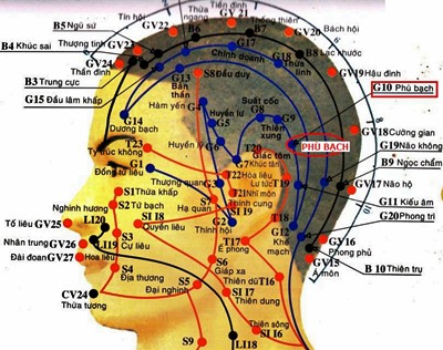 Vị trí huyệt phù bạch