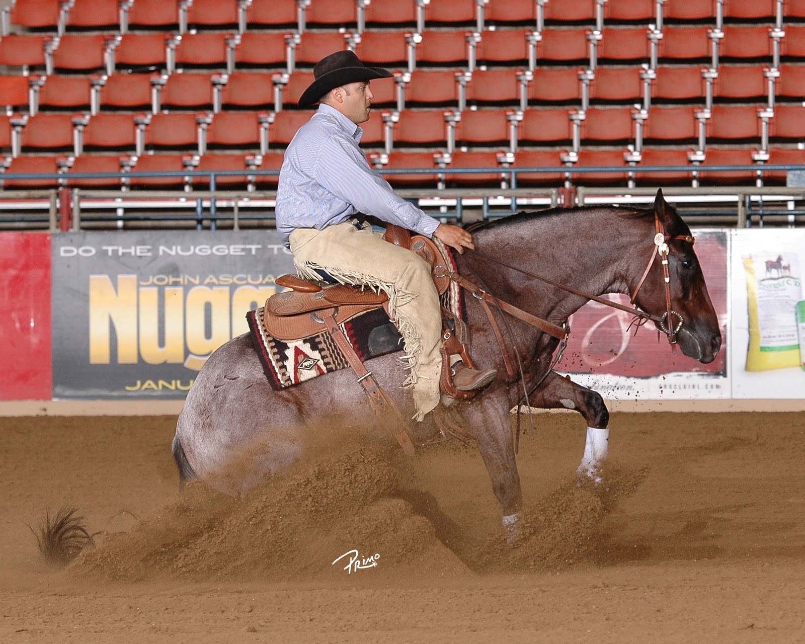 Roan River Ranch Quarter Horses Horse training in Tucson, Arizona