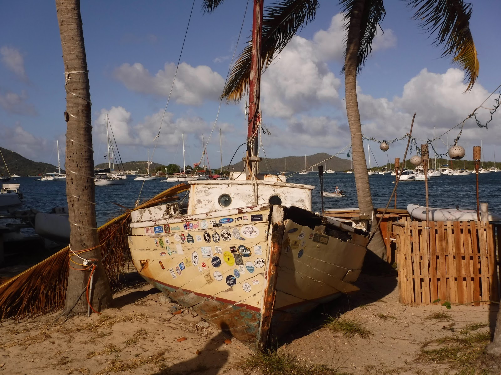 Things we did today... Expanding The Trellis Bay Experience