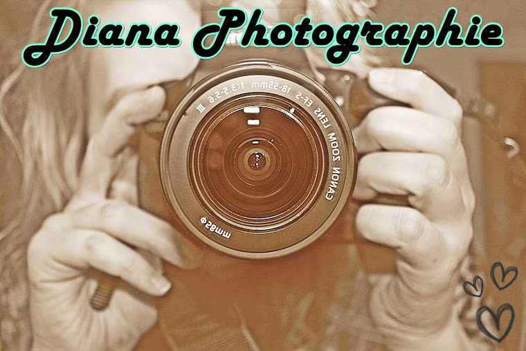 Diana PHOTOGRAPHIE