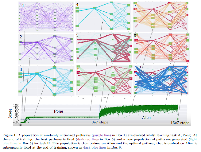 pathnet1.png