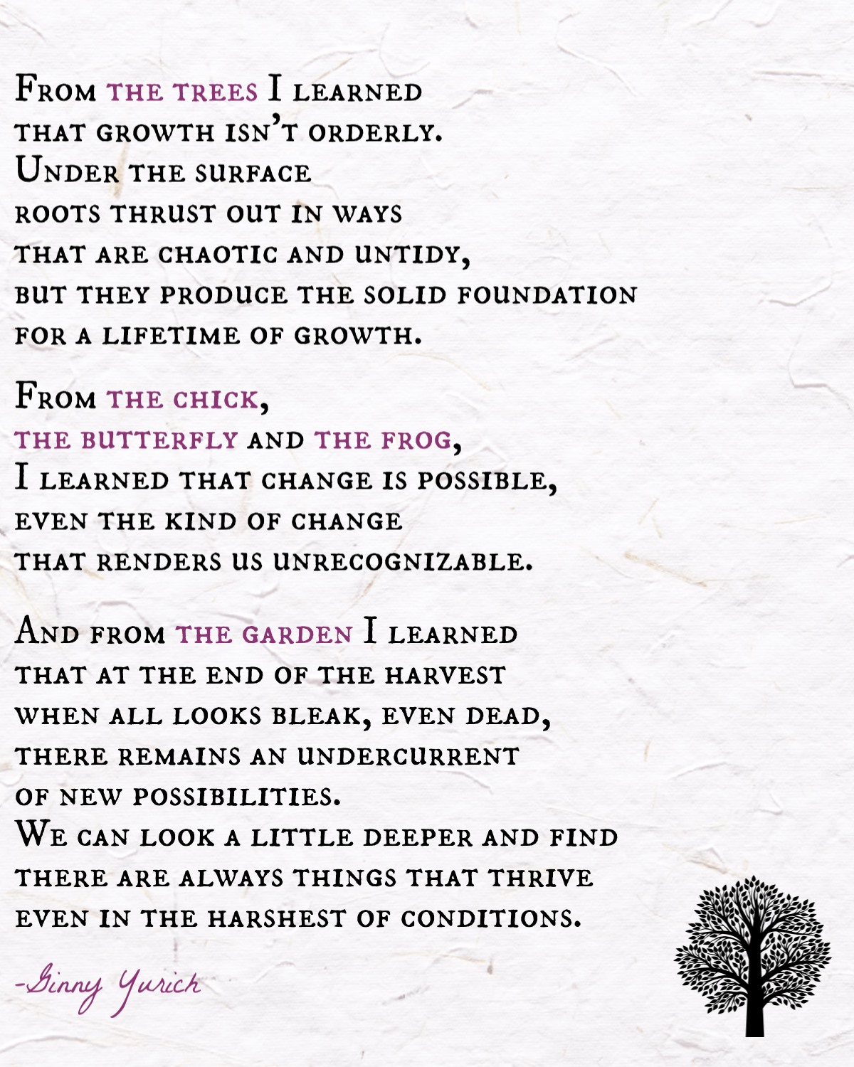 Green Team Gazette Change Growth Notes From Nature