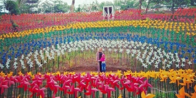 Tiket Masuk Marigold Garden Karawang Taman Kincir Angin