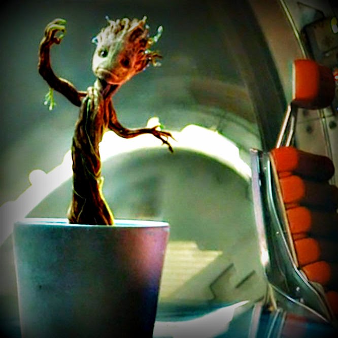 Transliterature: Things Transform: We Are Groot: Ecofeminism in ...