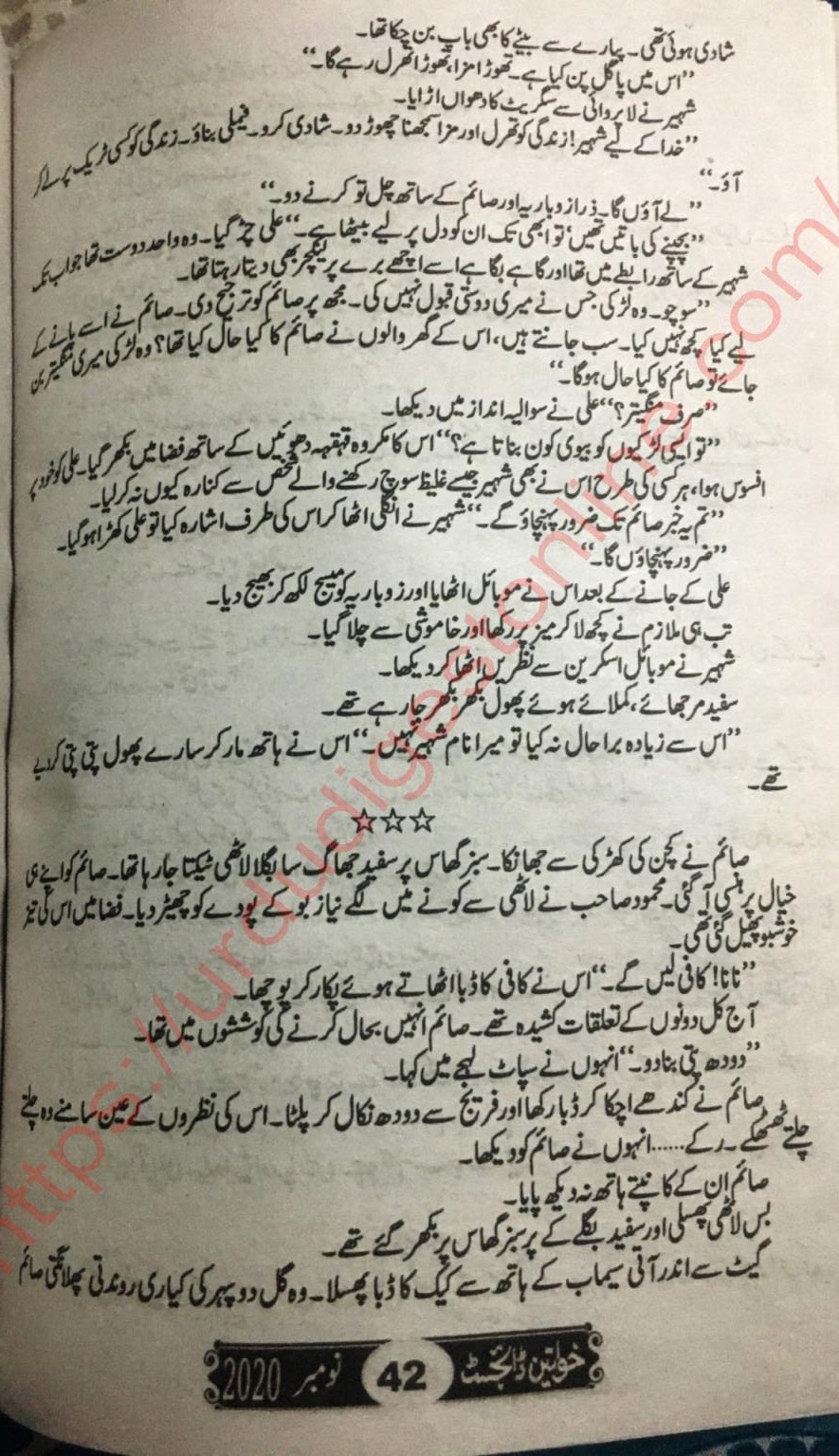 Titli Jaisa Pyar Novel Episode 11 Last Episode by Rahat Jabeen