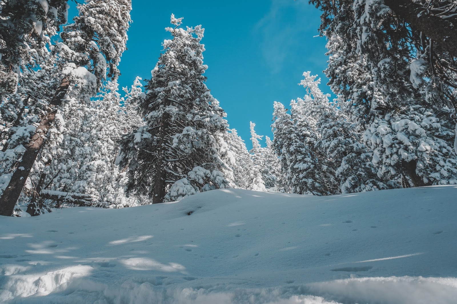 Winter trekking in Austria - Hochlantsch mountain trekking routes near Graz, visitgraz, Graz tourismus, Graz trekking, winter trekking in Austria, Hochlantsch, Mixnitz, lifestyle blog Austria, Hochlantsch summit