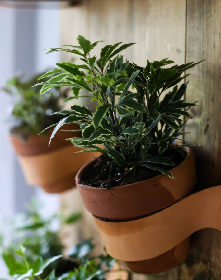 Decoración Fácil: DIY Jardín vertical interior