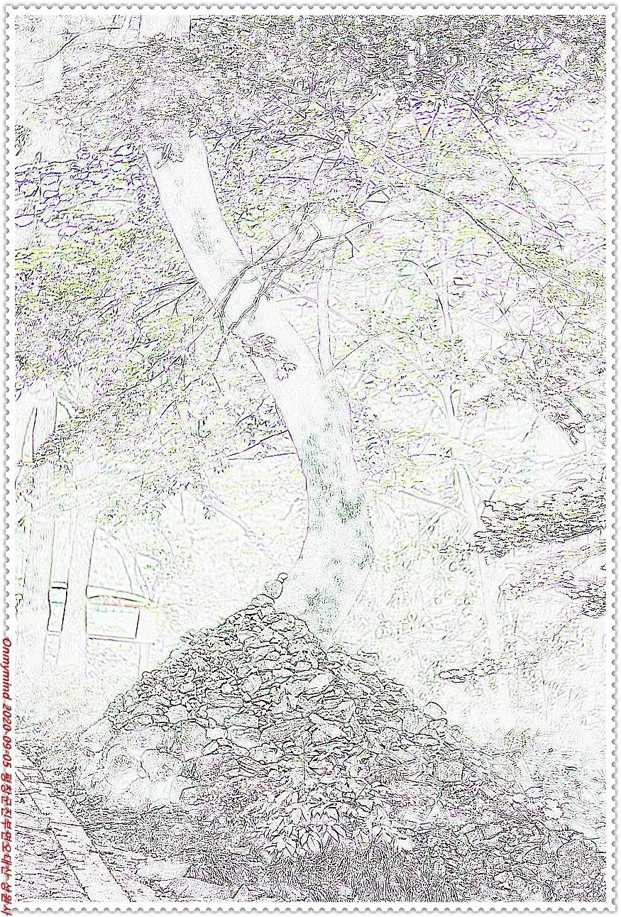 오대산 상원사 오대산 상원사