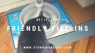 This is the old fountain but I like the new one better. Feral Friday—Safe & Secure