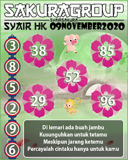 syair hk sakura